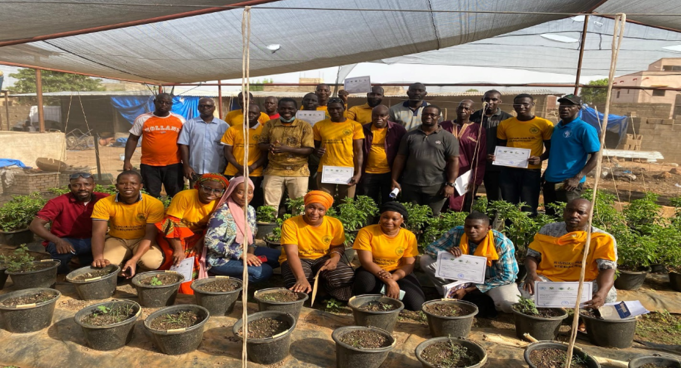 Culture maraîchère