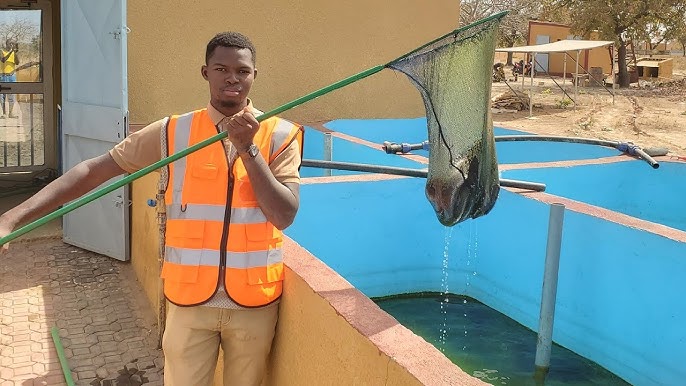 Former, produire et autonomiser dans le secteur agrosylvopastoral.